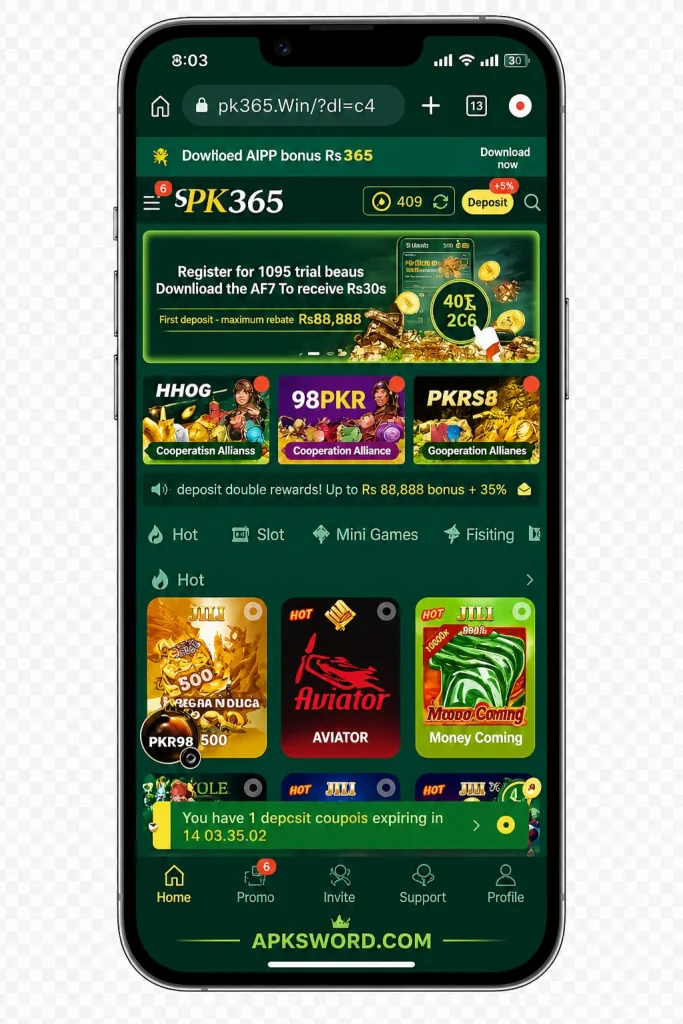 PK365 Game