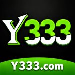 Y333 Game